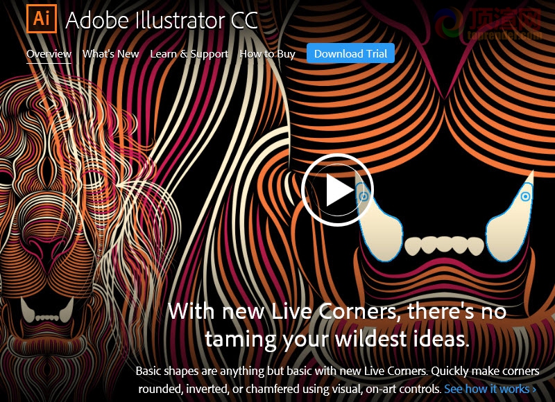 Adobe Illustrator CC 2014 01.jpg