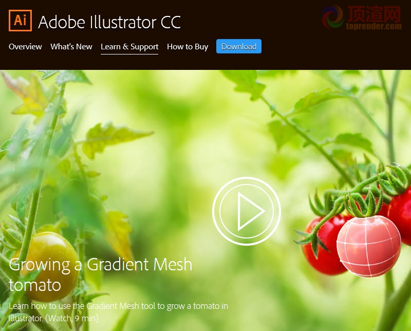 Adobe Illustrator CC 2014.jpg