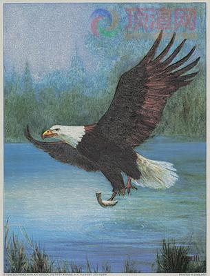 14.7x19.6cm188-004766.jpg