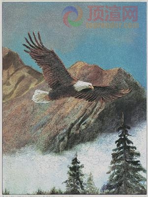 14.7x19.6cm188-004767.jpg