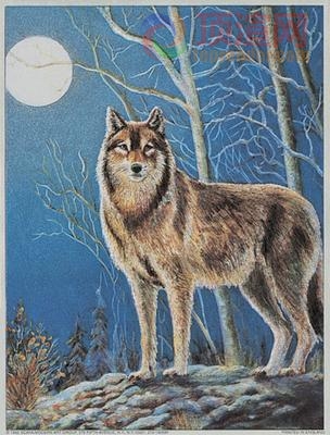 14.7x19.6cm188-004768.jpg