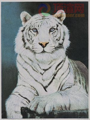 14.7x19.6cm188-004854.jpg