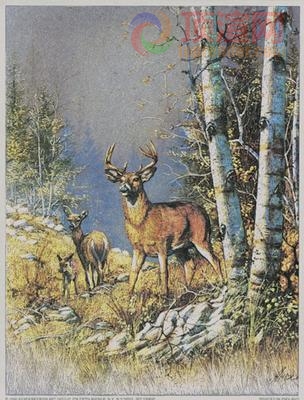 14.7x19.6cm188-004970.jpg