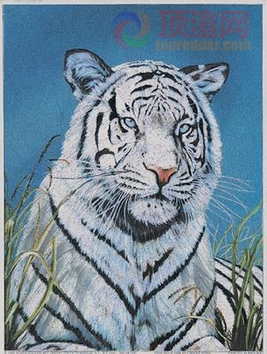 14.7x19.6cm188-005211.jpg