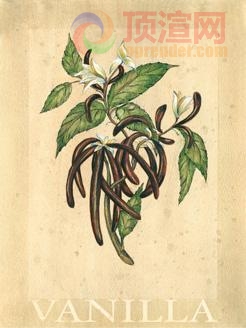 15.9x20.8cm188-015820.jpg