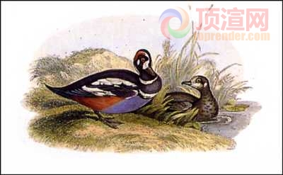 17.2x11.0cm188-013132.jpg
