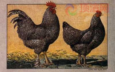 17.2x12.3cm188-013492.jpg