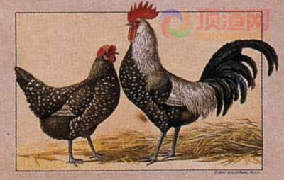 17.2x12.3cm188-013493.jpg