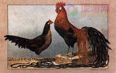 17.2x12.3cm188-013495.jpg