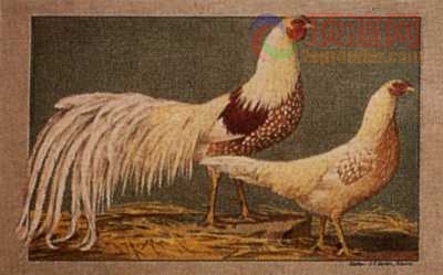 17.2x12.3cm188-013498.jpg