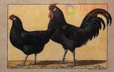 17.2x12.3cm188-013500.jpg