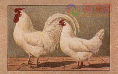 17.2x12.3cm188-013501.jpg