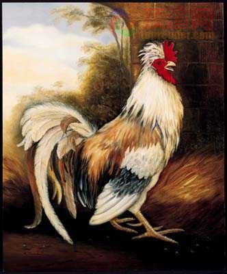 12.3x14.7cm188-129750.jpg