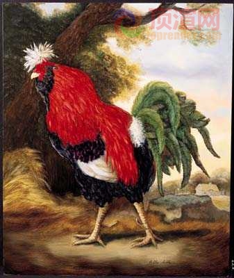 12.3x14.7cm188-129752.jpg
