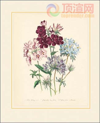 12.3x17.2cm188-129838.jpg
