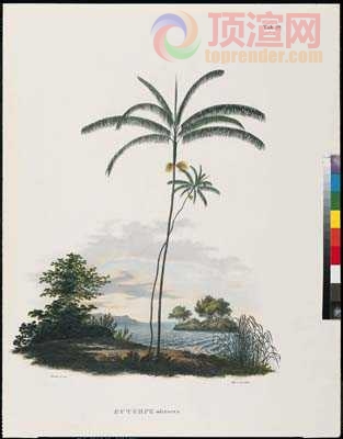 14.7x19.6cm188-129688.jpg