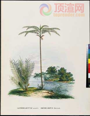 14.7x19.6cm188-129690.jpg