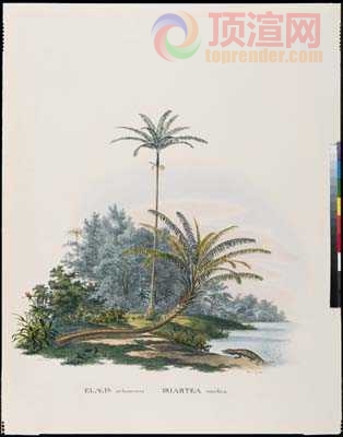 14.7x19.6cm188-129767.jpg