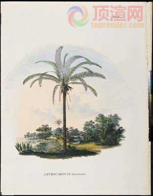 14.7x19.6cm188-129769.jpg