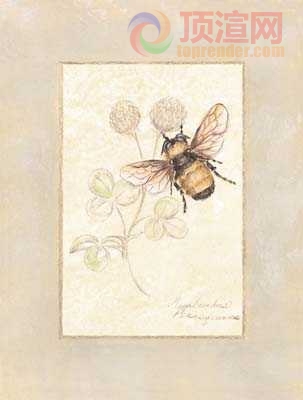 14.7x19.6cm188-129806.jpg