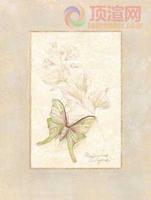 14.7x19.6cm188-129807.jpg