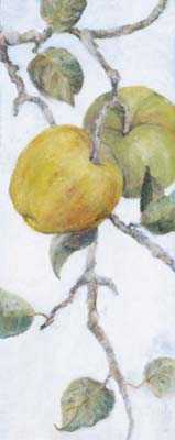 14.7x29.4cm188-129819.jpg