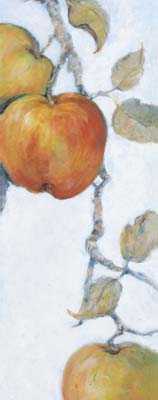 14.7x29.4cm188-129821.jpg