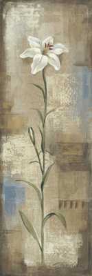 14.7x44.1cm188-130846.jpg