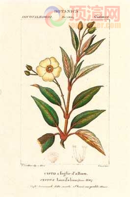 17.2x23.3cm188-129418.jpg