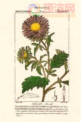 17.2x23.3cm188-129419.jpg