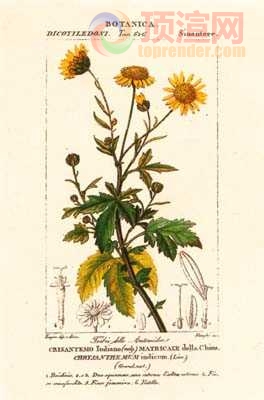 17.2x23.3cm188-129420.jpg