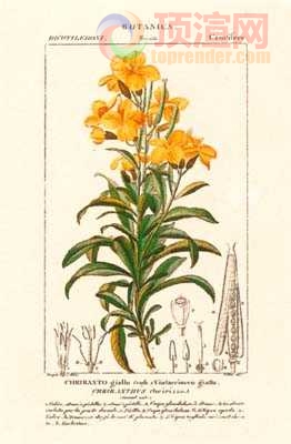 17.2x23.3cm188-129422.jpg
