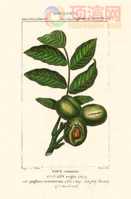 17.2x23.3cm188-129424.jpg