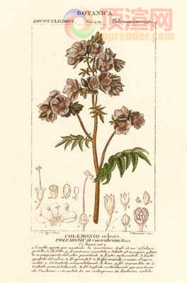 17.2x23.3cm188-129427.jpg