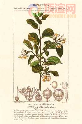 17.2x23.3cm188-129428.jpg