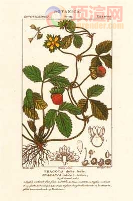 17.2x23.3cm188-129432.jpg
