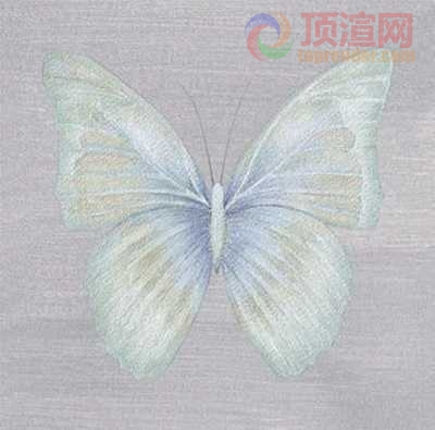 19.6x19.6cm188-129809.jpg
