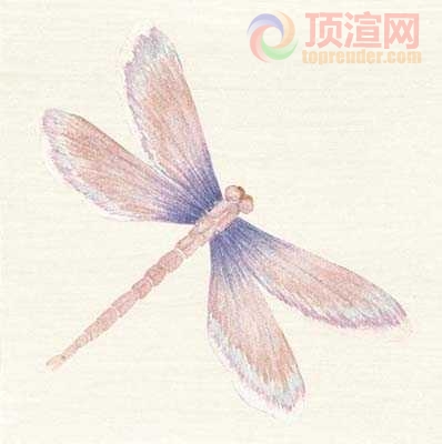 19.6x19.6cm188-129829.jpg