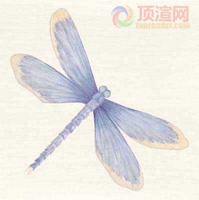 19.6x19.6cm188-129830.jpg