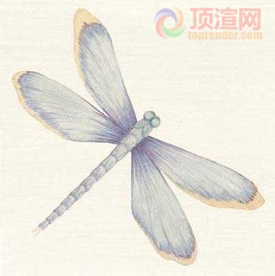 19.6x19.6cm188-129831.jpg