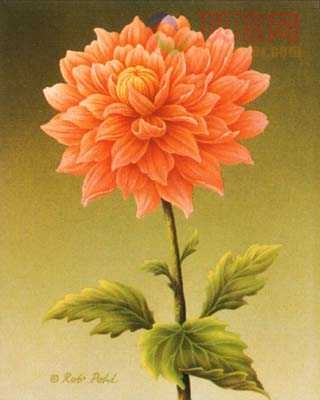 19.6x24.5cm188-129352.jpg