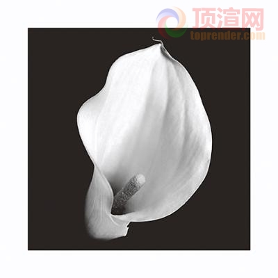 102.9x102.9cm9836-063419.jpg