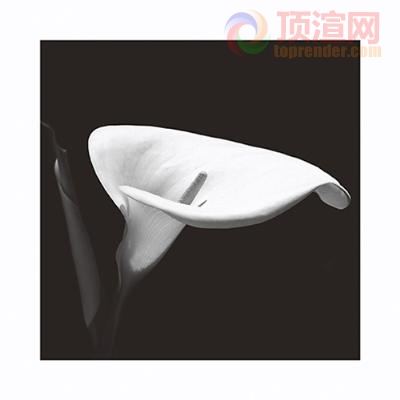 102.9x102.9cm9836-063420.jpg