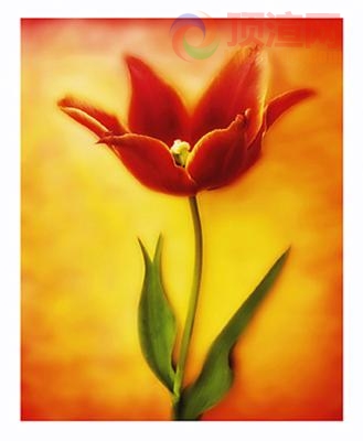 102.9x126.2cm9836-063466.jpg