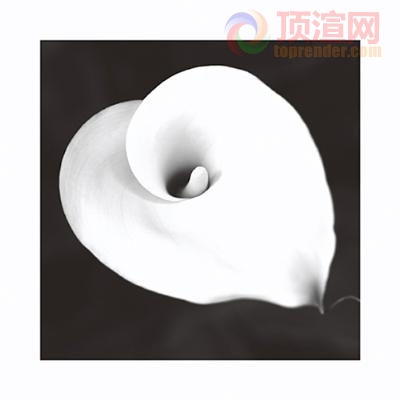 102.9x102.9cm9836-063422.jpg