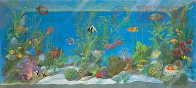 132.9x58.8cm1252-128091.jpg
