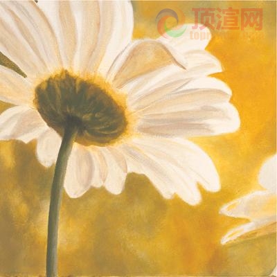 28.8x28.8cm250-128640.jpg