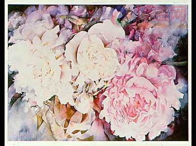 34.3x27.0cm215-124805.jpg