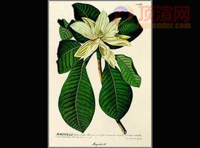 36.8x51.5cm447-124283.jpg