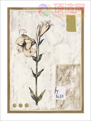 38.6x48.4cm188-125119.jpg